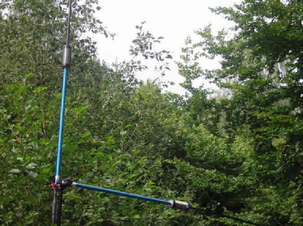 nl3_sm_middle28